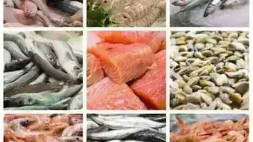 أسعار السمك اليوم الخميس بسوق العبور.. الجمبري دوخ الناس