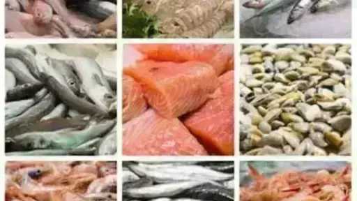 أسعار السمك اليوم الأحد بسوق العبور.. الجمبري دوخ الناس