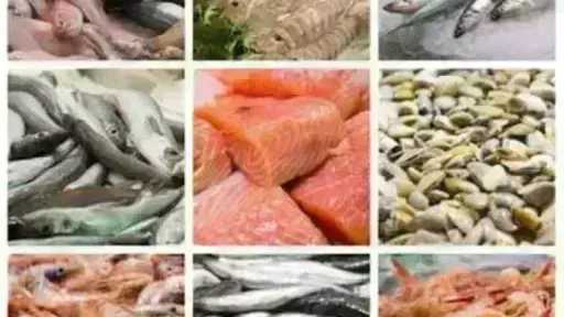 أسعار السمك اليوم الأحد بسوق العبور.. الجمبري دوخ... أسعار السمك اليوم الأحد بسوق العبور.. الجمبري دوخ الناس