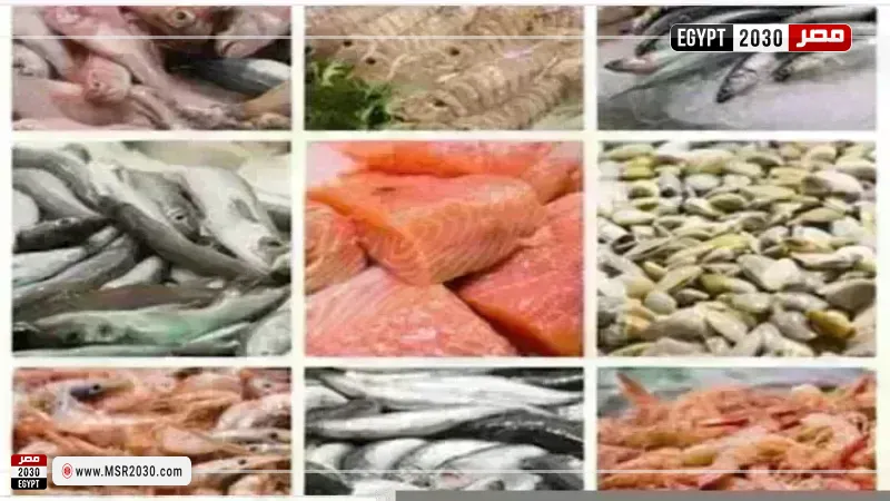 أسعار السمك اليوم بسوق العبور