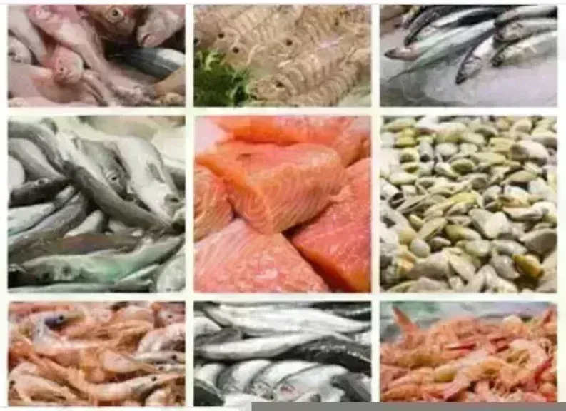 أسعار السمك اليوم بسوق العبور