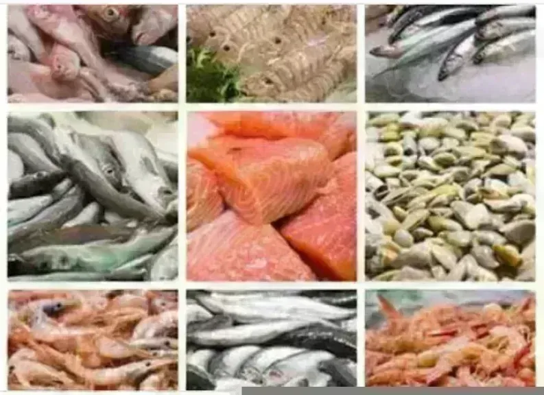 أسعار السمك اليوم بسوق العبور