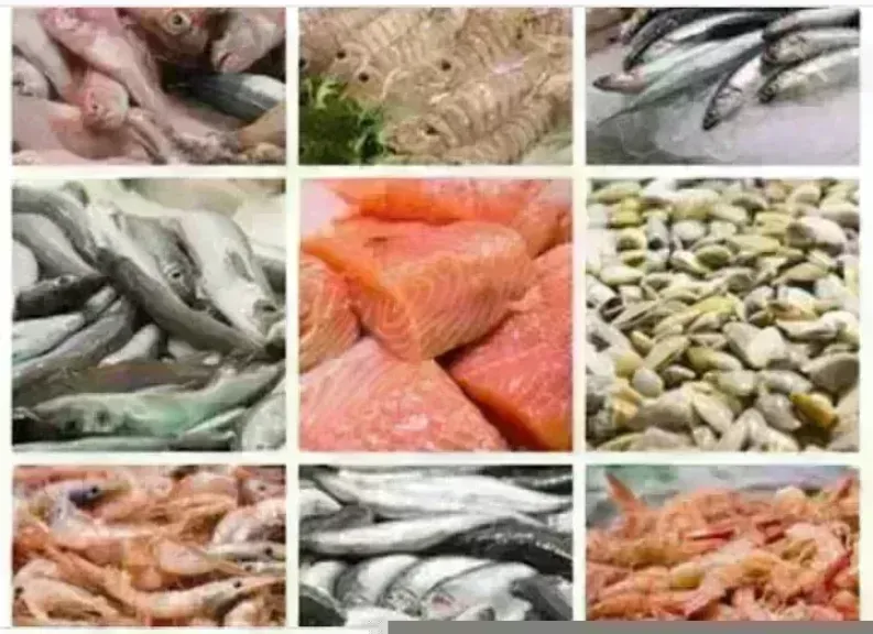 أسعار السمك اليوم بسوق العبور