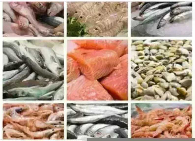 أسعار السمك اليوم الأحد بسوق العبور.. الجمبري دوخ الناس