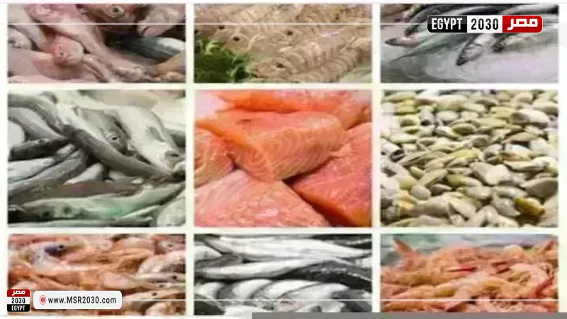 أسعار السمك اليوم بسوق العبور