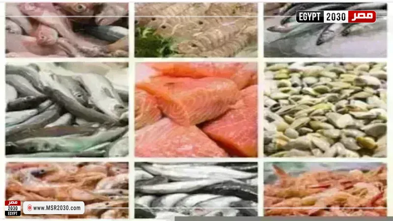 أسعار السمك اليوم بسوق العبور