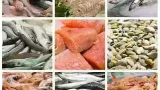 أسعار السمك اليوم الخميس بسوق العبور.. الجمبري دوخ الناس