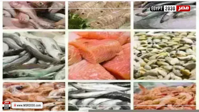 أسعار السمك اليوم بسوق العبور
