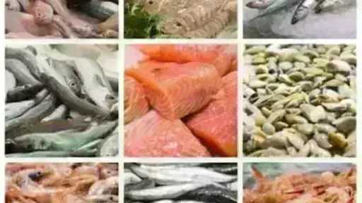 أسعار السمك اليوم الخميس بسوق العبور.. الجمبري دوخ الناس