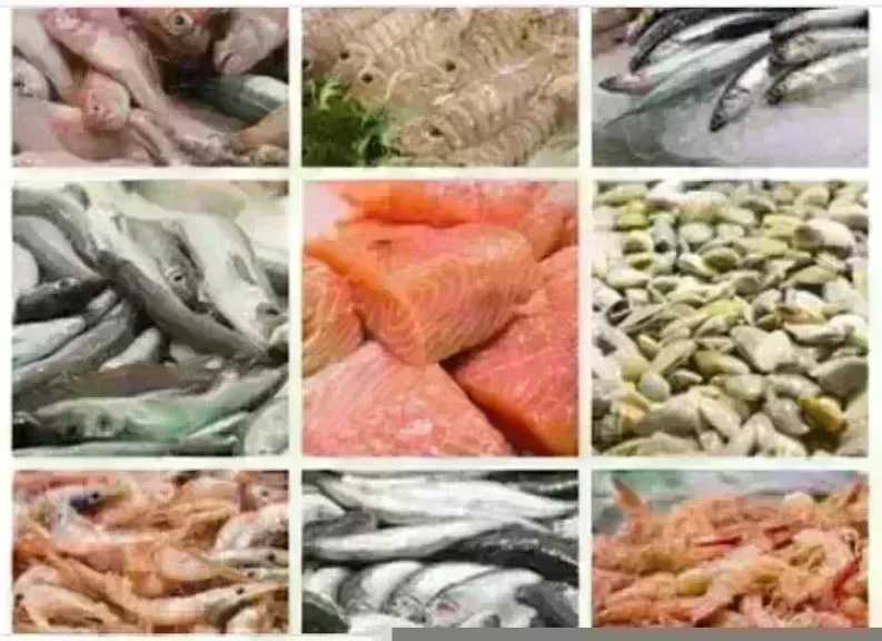 أسعار السمك اليوم الأحد بسوق العبور.. الجمبري دوخ الناس