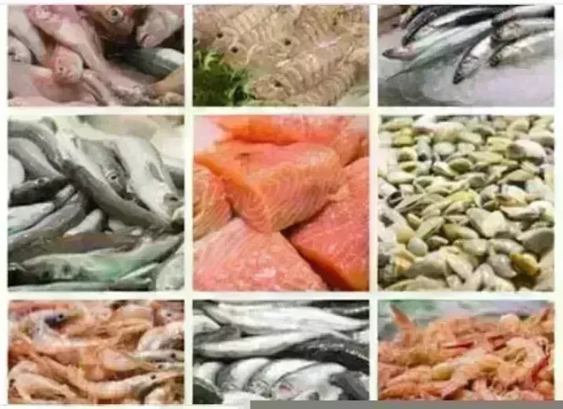 أسعار السمك اليوم بسوق العبور