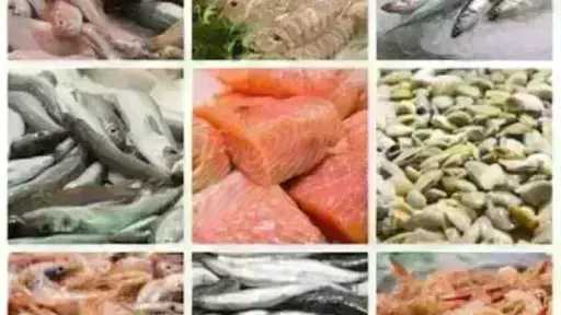 أسعار السمك اليوم الأحد بسوق العبور.. الجمبري دوخ... أسعار السمك اليوم الأحد بسوق العبور.. الجمبري دوخ الناس