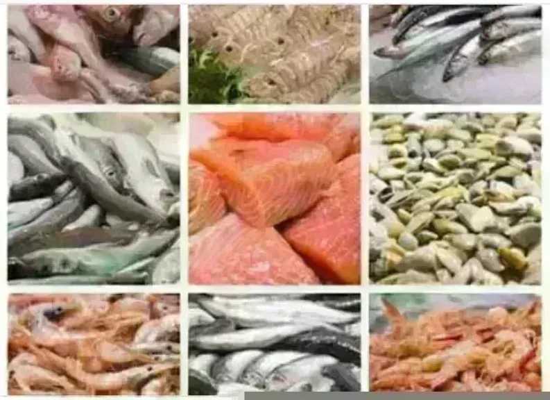 أسعار السمك اليوم الإثنين بسوق العبور.. الجمبري دوخ الناس