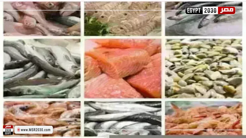 أسعار السمك اليوم بسوق العبور
