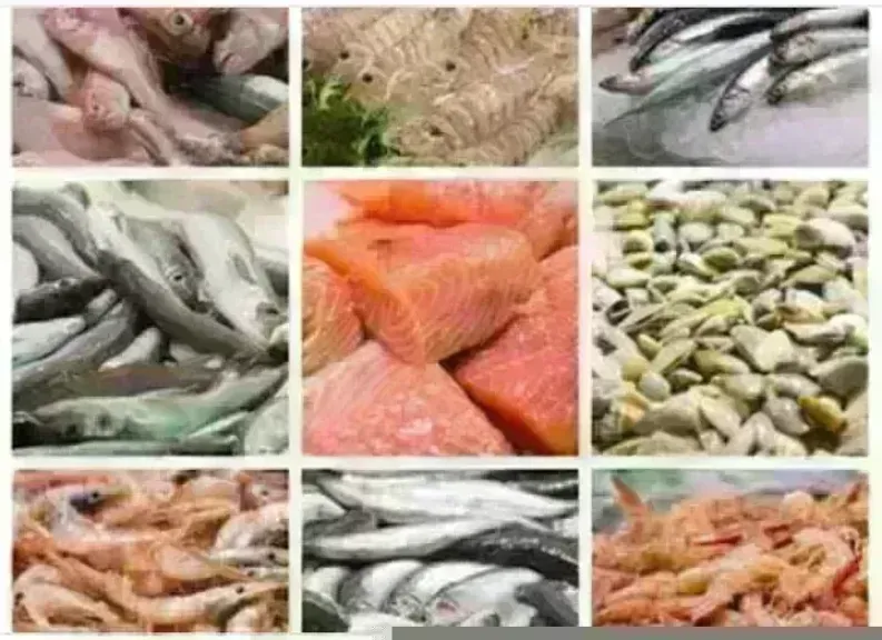 أسعار السمك اليوم بسوق العبور