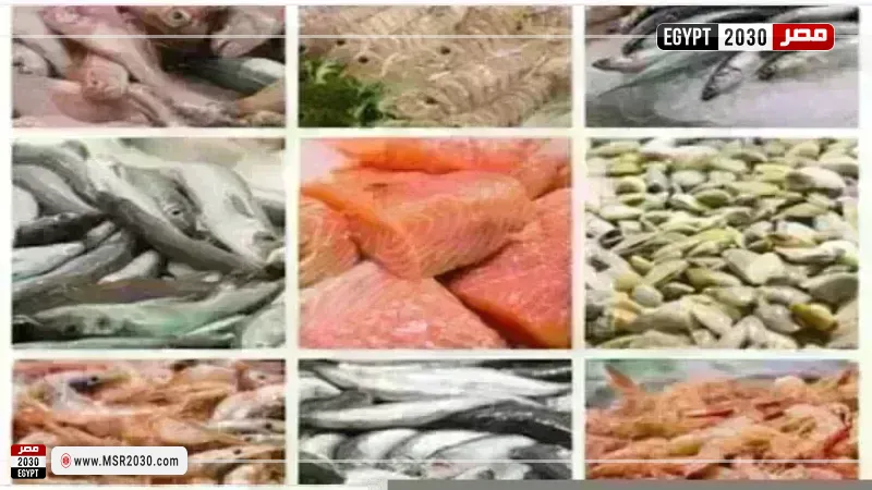 أسعار السمك اليوم بسوق العبور