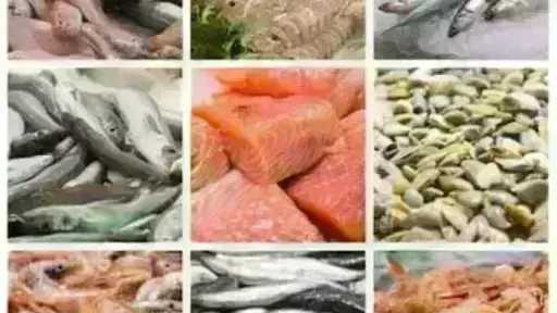 أسعار السمك اليوم الأربعاء بسوق العبور.. الجمبري دوخ الناس