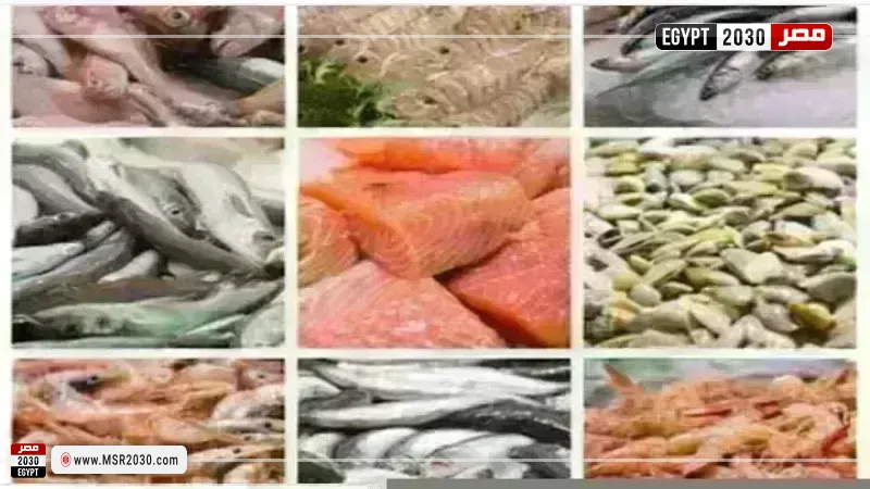 أسعار السمك اليوم بسوق العبور