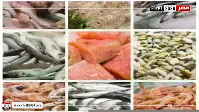 أسعار السمك اليوم بسوق العبور