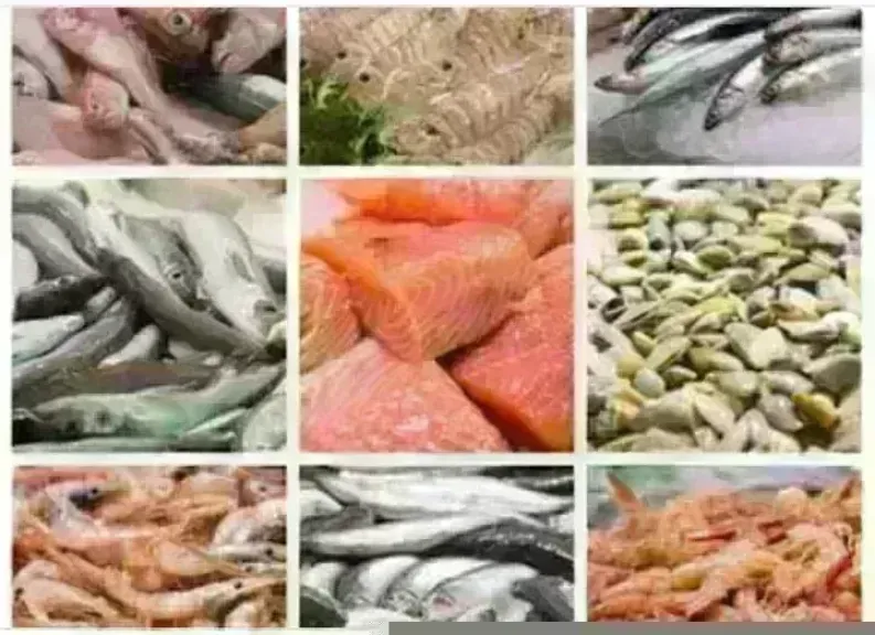 أسعار السمك اليوم بسوق العبور