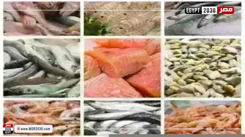 أسعار السمك اليوم بسوق العبور