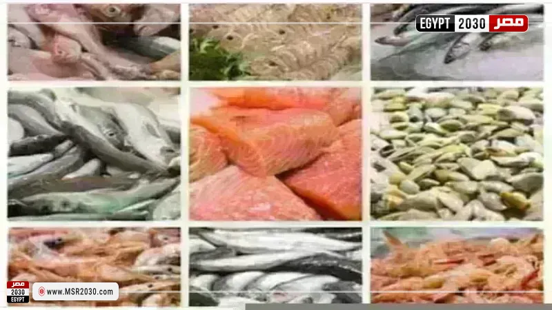 أسعار السمك اليوم