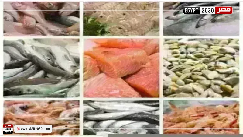 أسعار السمك اليوم بسوق العبور