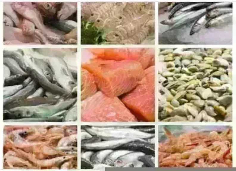 بكام البوري.. أسعار السمك اليوم الأحد بسوق العبور