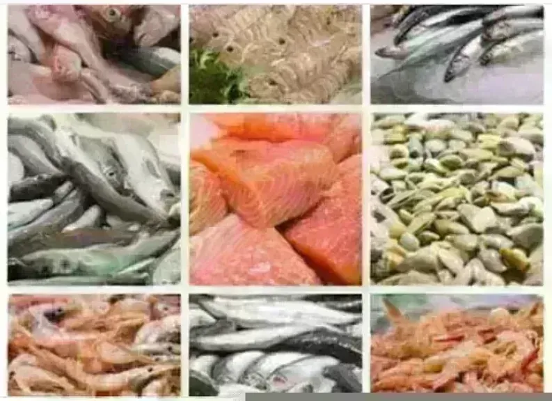 أسعار السمك اليوم بسوق العبور