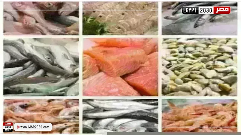 أسعار السمك اليوم بسوق العبور