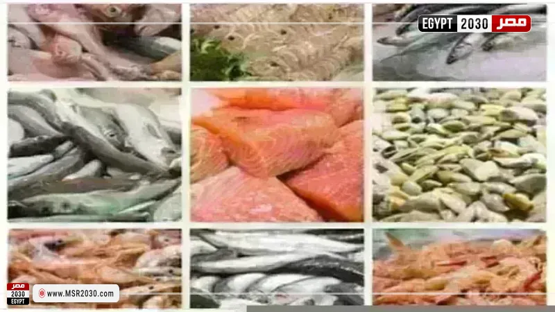 أسعار السمك اليوم بسوق العبور