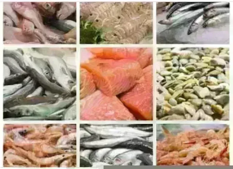 أسعار السمك اليوم بسوق العبور