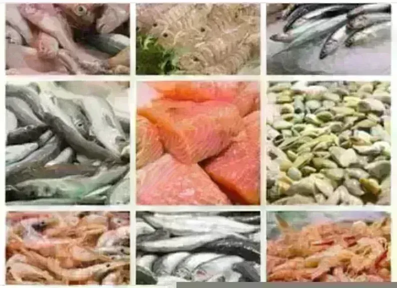 أسعار السمك اليوم بسوق العبور