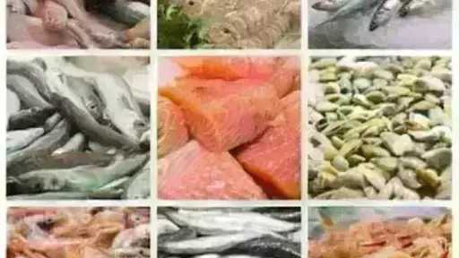 أسعار السمك اليوم الأحد بسوق العبور.. الجمبري دوخ... أسعار السمك اليوم الأحد بسوق العبور.. الجمبري دوخ الناس