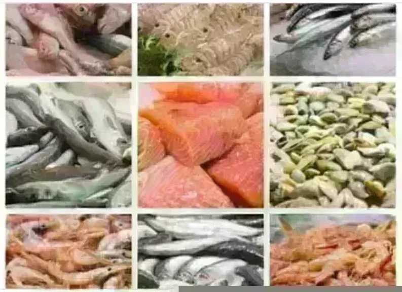 أسعار السمك اليوم الإثنين بسوق العبور.. الجمبري دوخ الناس