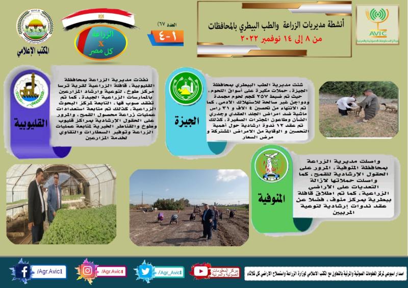 إنفوجراف مجهودات وزارة الزراعة