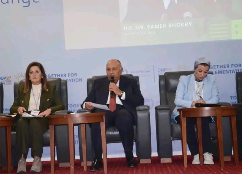 وزير الخارجية المصري
