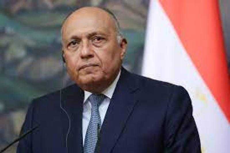 شكري متحدثا عن الجلسة الختامية للقمة: لا يمكنني التعليق.. فيديو