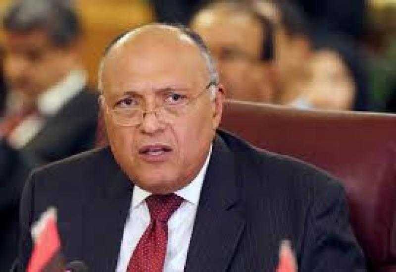 رئيس مؤتمر المناخ: «دا أهم قرار جاء بالقمة ونفخر به».. فيديو