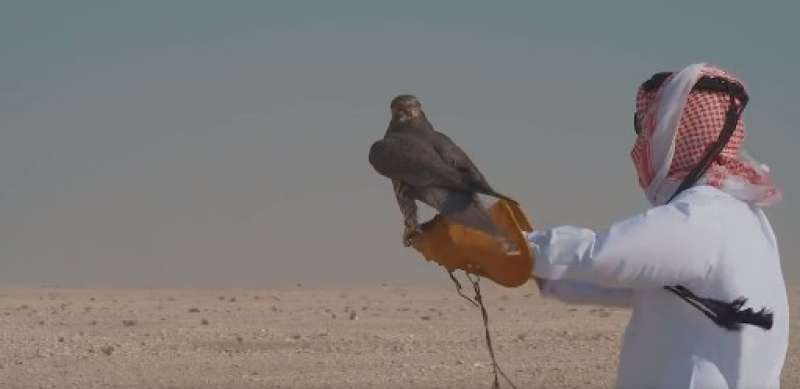 صورة من مقطع الفيديو