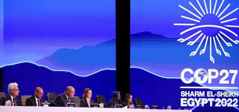 خبير: صندوق الخسائر والأضرار حدث سيسجل لمصر  «فيديو»