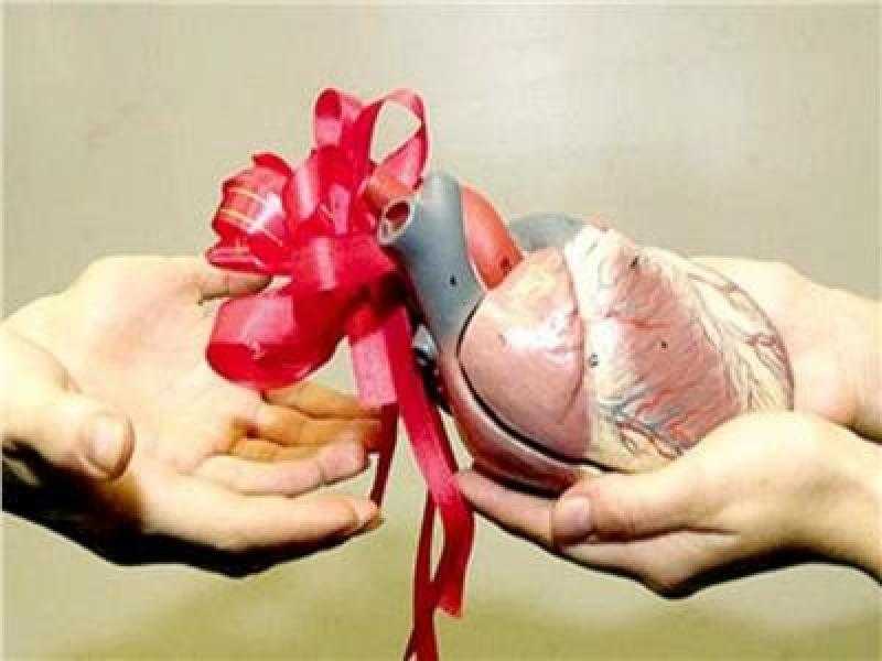 لا يشترط الشهر العقاري.. الصحة تدلي بتصريح عاجل لراغبي التبرع بالأعضاء