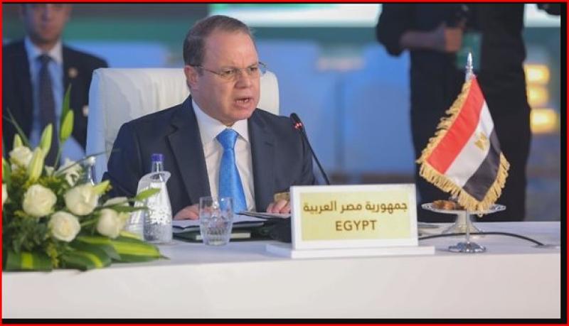  المستشار حماده الصاوي رئيس المحكمة 