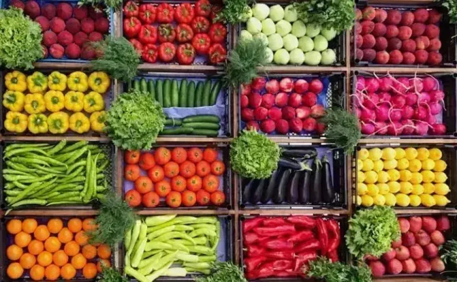 أسعار الخضروات اليوم