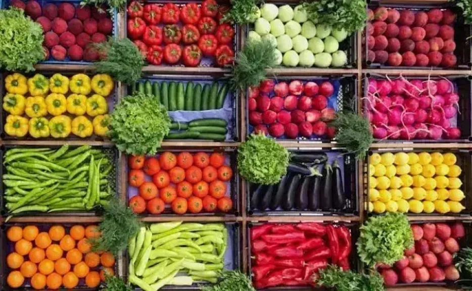 أسعار الخضروات اليوم