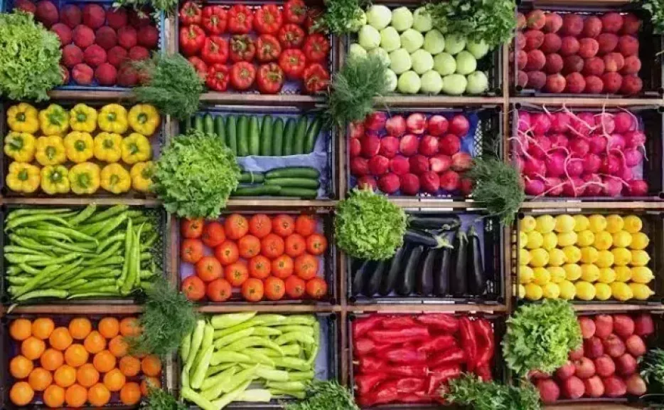 أسعار الخضروات اليوم