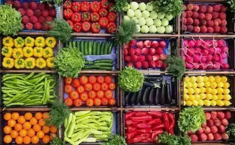أسعار الخضروات اليوم