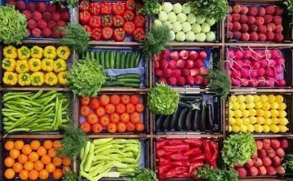 أسعار الخضروات اليوم