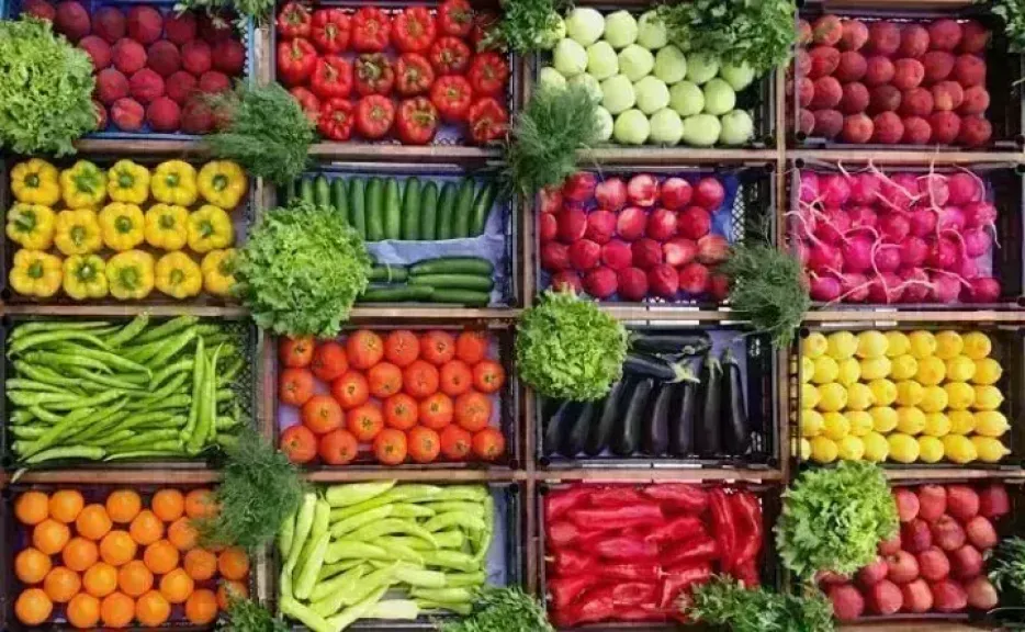 أسعار الخضروات اليوم