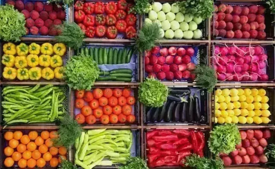 أسعار الخضروات اليوم